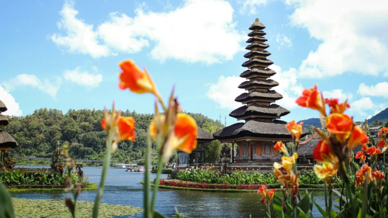 Explore Surroundings